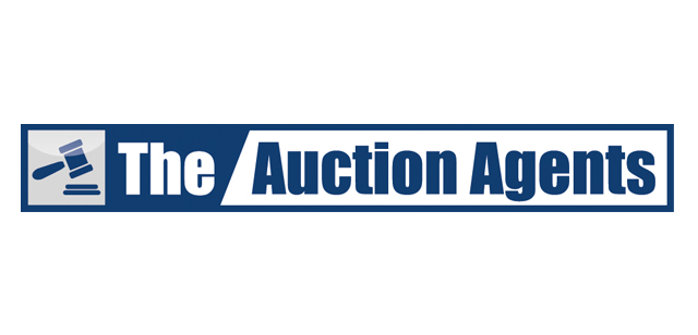 Auction Agents