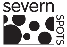 Severn Spots branding and website