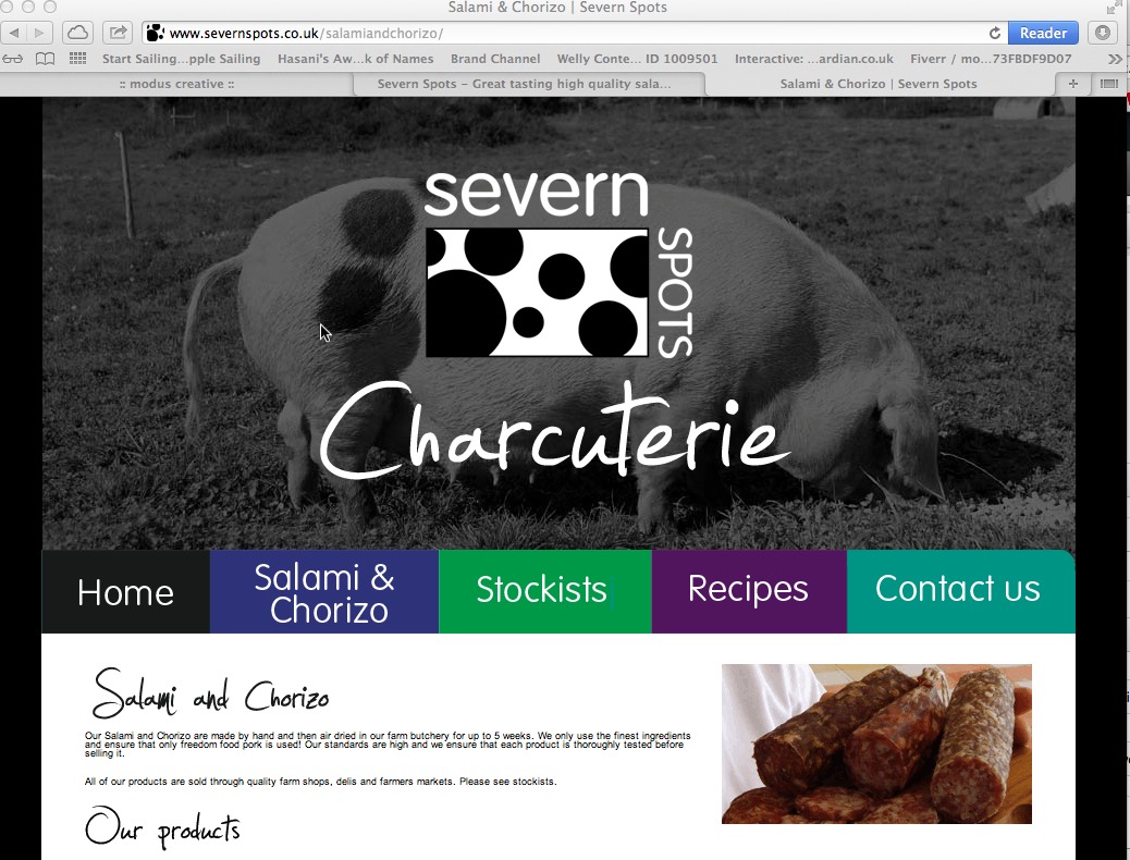 modus design website for Severn Spots