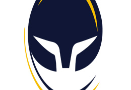 Warriors branding & creative