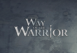 The Commanderys Way of The Warrior